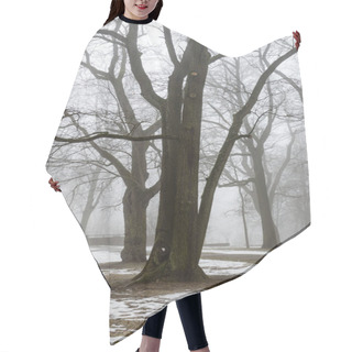 Personality  Snowy Winter Park In Mist Hair Cutting Cape