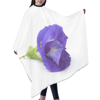 Personality  Asian Pigeonwings Flowe On White Background Hair Cutting Cape