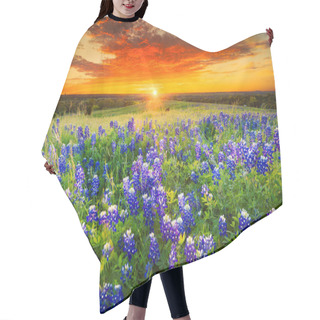 Personality  Texas Pasture Filled With Bluebonnets At Sunset Hair Cutting Cape