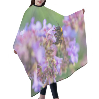 Personality  Bee Collects Honey From Catnip Flowers Hair Cutting Cape