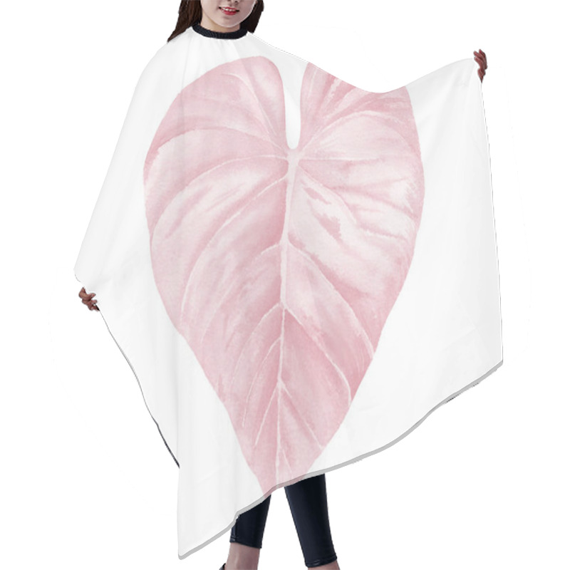 Personality  Pink watercolor leaf. Beautiful tropical leaf with streaks. Pale pink watercolour illustration isolated on white.  hair cutting cape