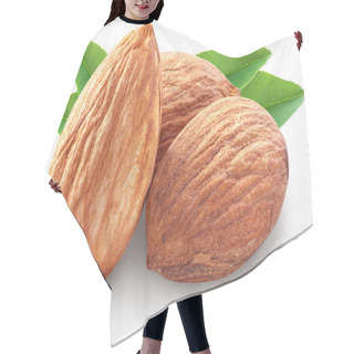 Personality  Almonds With Leaves Isolated. Hair Cutting Cape