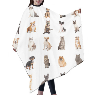Personality  Group Of Cats And Dogs Hair Cutting Cape