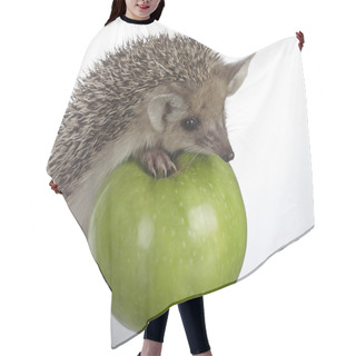 Personality  Hedgehog And Apple Hair Cutting Cape