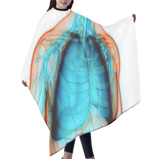 Personality  Human Respiratory System Lungs With Alveoli Anatomy. 3D Hair Cutting Cape