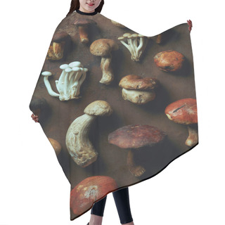 Personality  Top View Of Assorted Raw Edible Mushrooms On Dark Grunge Background  Hair Cutting Cape