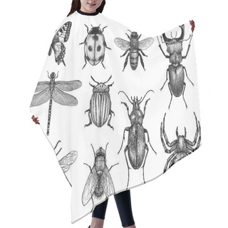 Personality  Engraved, Drawn,  Illustration, Insect, Collection, Group Hair Cutting Cape