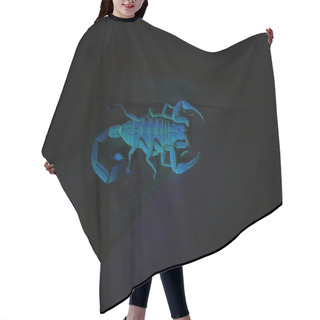 Personality  Scorpion Under Ultraviolet Light 4 Hair Cutting Cape