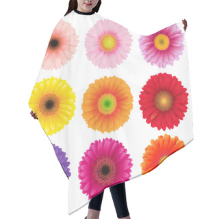 Personality  Big Colorful Gerbers Flowers Set Hair Cutting Cape