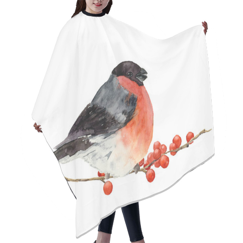 Personality  Watercolor Bullfinch On A Branch With Red Berries. Hand Painted Bird With Winter Berries On White. Christmas Symbol. Winter Birdie With Red Breast Feathers. Illustration For Design Or Print Hair Cutting Cape