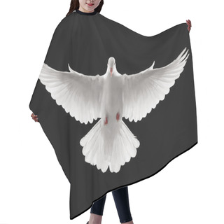 Personality  Flying Dove Hair Cutting Cape