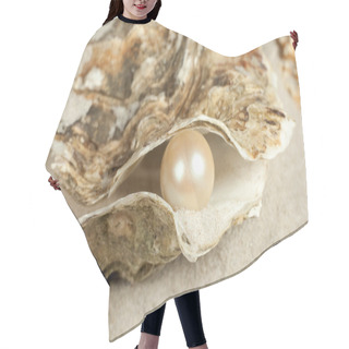Personality  Pearl In Oyster Hair Cutting Cape