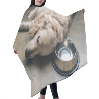 Personality  Adorable Golden Retriever Dog Lying Metal Bowl On Floor At Home Hair Cutting Cape