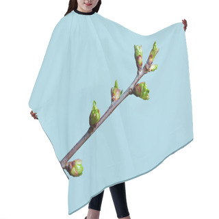 Personality  Sping Green Branch Hair Cutting Cape