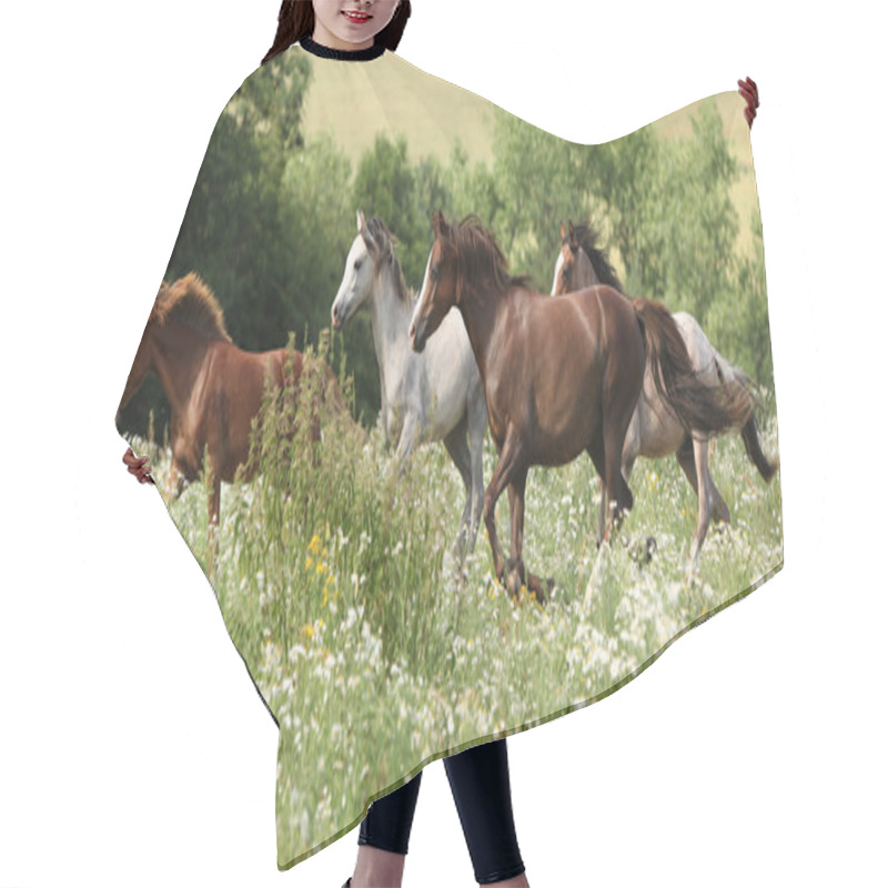 Personality  Batch Of Horses Running In Flowered Scene Hair Cutting Cape