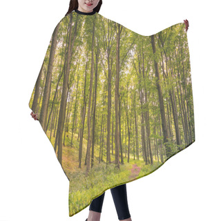 Personality  Beautiful Green Forest Hair Cutting Cape