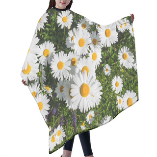 Personality  Marguerite Flower Hair Cutting Cape