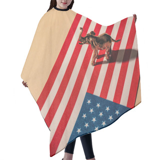 Personality  Golden Toy Elephant With Shadow On American Flag, Animal Welfare Concept Hair Cutting Cape