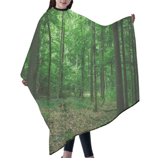 Personality  Beautiful Green Forest In Germany In Summer Hair Cutting Cape