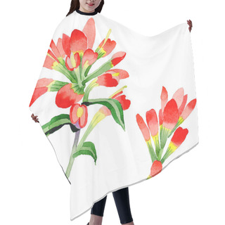 Personality  Wildflower Indian Paintbrush Flower In A Watercolor Style Isolated. Hair Cutting Cape