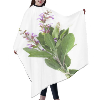 Personality  Flowering Sage Hair Cutting Cape