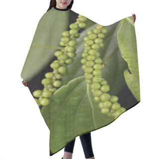 Personality  Green Peppercorns Or Piper Nigrum Hair Cutting Cape