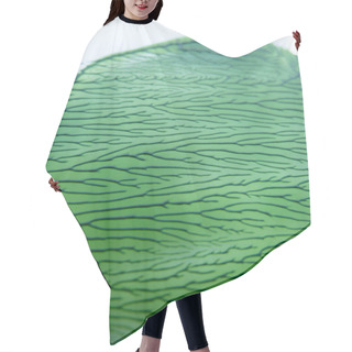 Personality  Green Paint Dried Interesting , Intricate Patterns Hair Cutting Cape