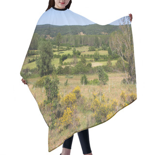 Personality  Landscape Of Meadows And Groves Hair Cutting Cape