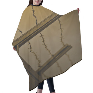 Personality  The Border Hair Cutting Cape
