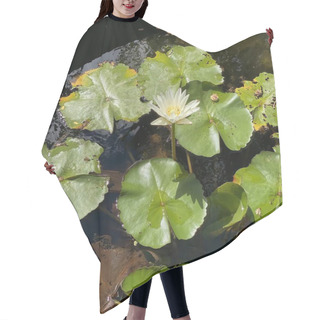 Personality  A Photography Of A Pond With A White Flower And Green Leaves, Water Snake In A Pond With Lily Pads And Water Lillies. Hair Cutting Cape