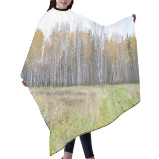 Personality  Rural Road In A Autumn Field Hair Cutting Cape