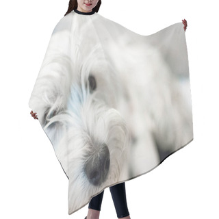 Personality  West Highland White Terrier Hair Cutting Cape