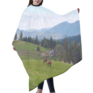 Personality  Horses On Mountainside. Hair Cutting Cape