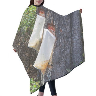Personality  Bags Attached To A Pine Tree Collecting The Resin Hair Cutting Cape