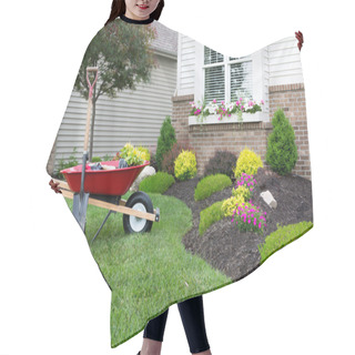 Personality  Planting A Celosia Flower Garden Around A House Hair Cutting Cape