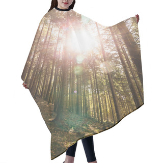 Personality  Sunshine And Trees On Hill In Mountains  Hair Cutting Cape