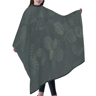 Personality  Tropical Leaves In A Jungle, Dark And Moody Shot Can Be Used As Background Hair Cutting Cape