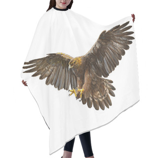 Personality  Golden Eagle Swoop Hand Draw On White. Hair Cutting Cape