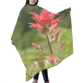 Personality  Indian Paintbrush Hair Cutting Cape