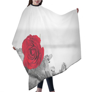 Personality  Red Rose On The Beach  Hair Cutting Cape