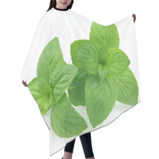 Personality  Peppermint Hair Cutting Cape