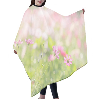 Personality  Soft, Selective Focus Of Cosmos, Blurry Flower For Background, C Hair Cutting Cape