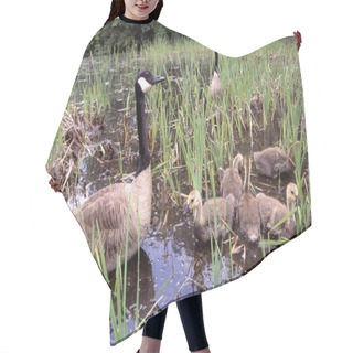 Personality  Canada Geese With Goslings Hair Cutting Cape