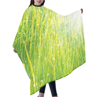 Personality  Spring Grass Covered With Morning Dew Hair Cutting Cape