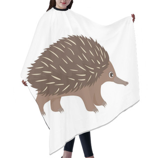 Personality  Cute Cartoon Echidna Isolated On White Background. Vector Illustration Of  Australian Animal In Cartoon Flat Style. Hair Cutting Cape