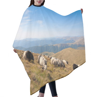 Personality  A Herd Of Sheep Grazing On The Slopes Of The Mountains Hair Cutting Cape