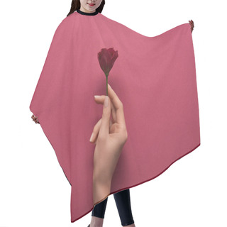 Personality  Cropped View Of Woman Holding Flower In Hand On Ruby Background  Hair Cutting Cape