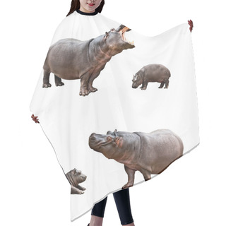 Personality  Family Hippos With Babes Hair Cutting Cape