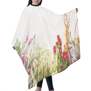 Personality  Panoramic Shot Of Bunches Of Diverse Wildflowers On White Background With Copy Space Hair Cutting Cape