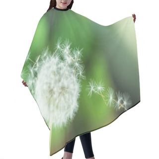 Personality  Flying Dandelion Seeds Hair Cutting Cape